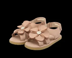 Iles Fields | Peony | Coral Betting Leather