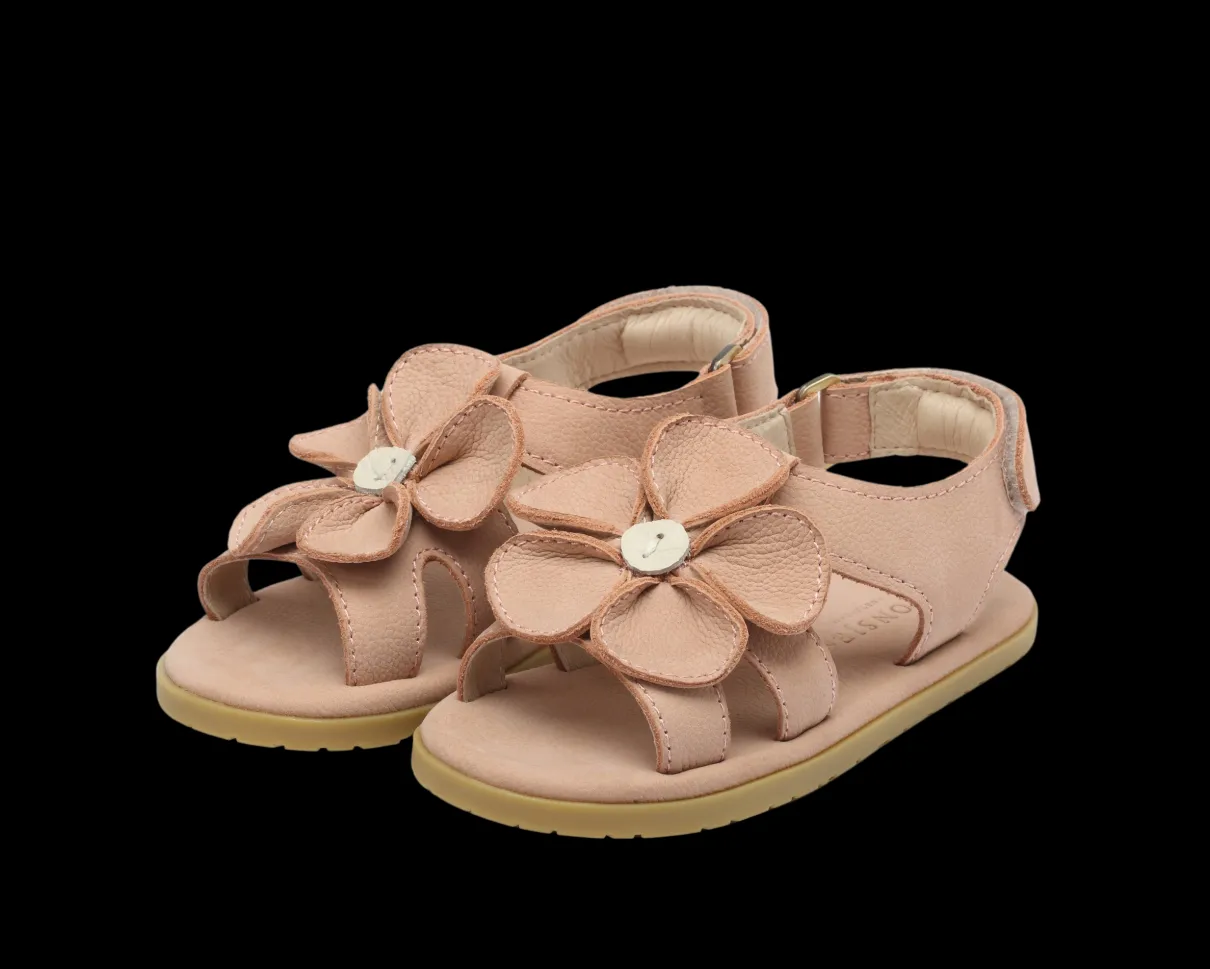 Iles Fields | Peony | Coral Betting Leather