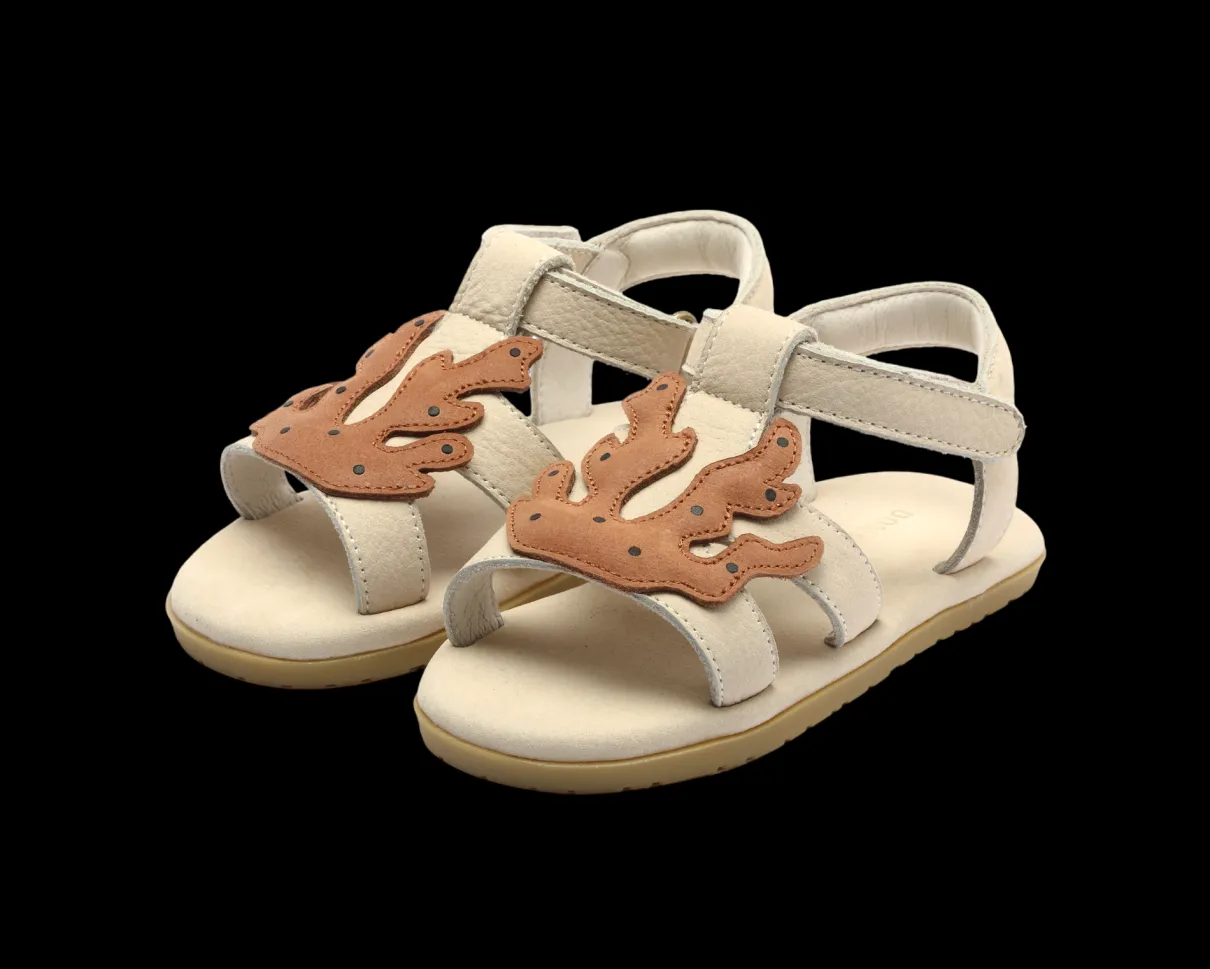 Lee Sea | Coral | Walnut Leather